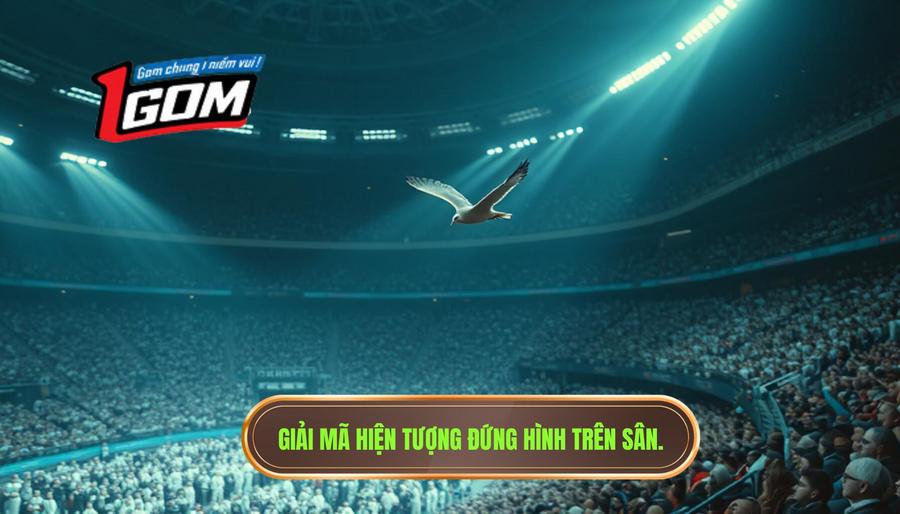 Giải mã hiện tượng đứng hình trên sân